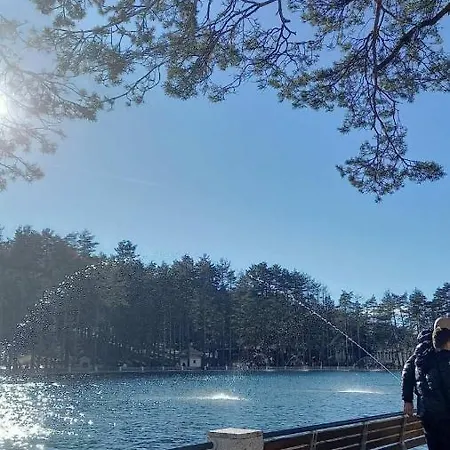 Tio Binis Lägenhet Zlatibor