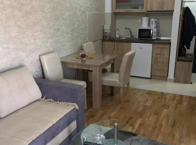 Apartment Tio Binis *