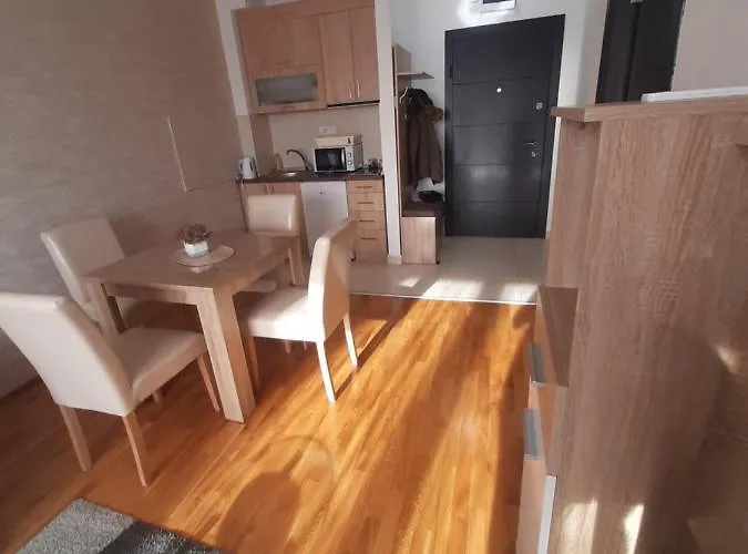 Tio Binis Apartment *