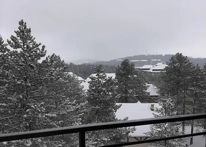 Apartment Tio Binis Zlatibor