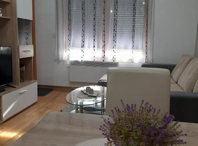 Tio Binis Apartment *