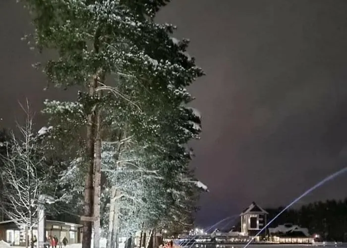 Tio Binis * Zlatibor