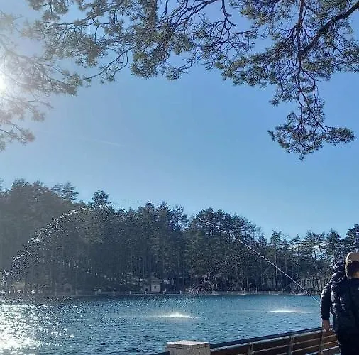 Tio Binis Apartment Zlatibor