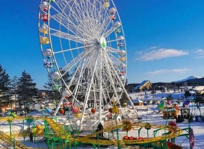 Tio Binis Apartment Zlatibor