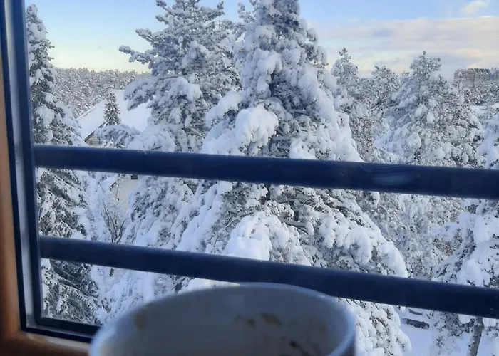 Apartment Tio Binis *